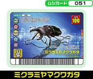 ミクラミヤマクワガタ（051）［未確定］