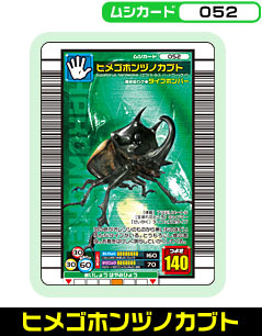 ヒメゴホンヅノカブト（052）［未確定］