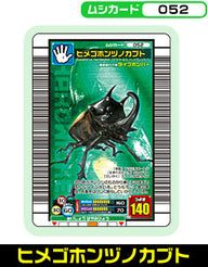 ヒメゴホンヅノカブト（052）［未確定］