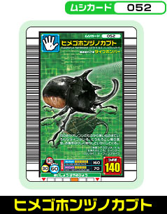 ヒメゴホンヅノカブト（052）［未確定］