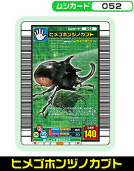 ヒメゴホンヅノカブト（052）［未確定］