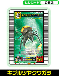 キプルツヤクワガタ（053）［未確定］