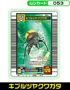 キプルツヤクワガタ（053）［未確定］