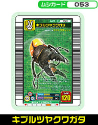 キプルツヤクワガタ（053）［未確定］