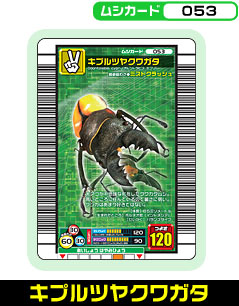キプルツヤクワガタ（053）［未確定］