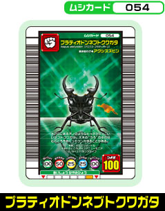 プラティオドンネブトクワガタ（054）［未確定］