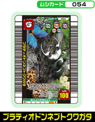 プラティオドンネブトクワガタ（054）［未確定］