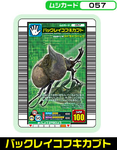 バックレイコフキカブト（057）［未確定］