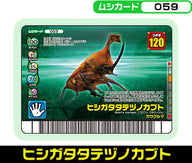 ヒシガタタテヅノカブト（059）［未確定］