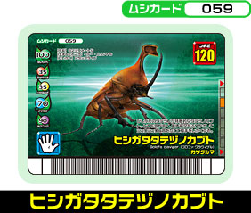 ヒシガタタテヅノカブト（059）［未確定］