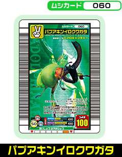 パプアキンイロクワガタ（060）［未確定］