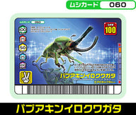 パプアキンイロクワガタ（060）［未確定］