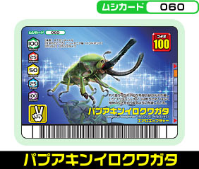 パプアキンイロクワガタ（060）［未確定］