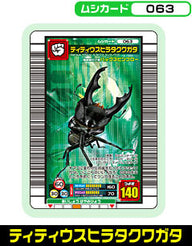 ティティウスヒラタクワガタ（063）［未確定］
