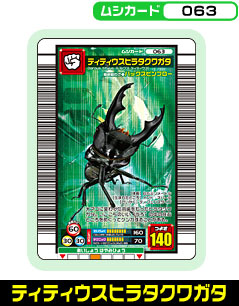 ティティウスヒラタクワガタ（063）［未確定］