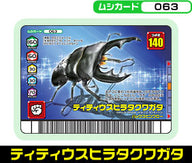 ティティウスヒラタクワガタ（063）［未確定］
