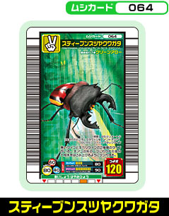 スティーブンスツヤクワガタ（064）［未確定］