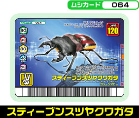 スティーブンスツヤクワガタ（064）［未確定］