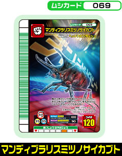 マンディブラリスミツノサイカブト（069）［未確定］