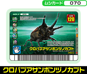 クロパプアサンボンヅノカブト（070）［未確定］