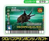 クロパプアサンボンヅノカブト（070）［未確定］