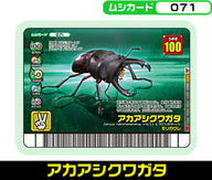 アカアシクワガタ（071）［未確定］