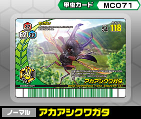 ノーマル（MC071）［ノーマル］