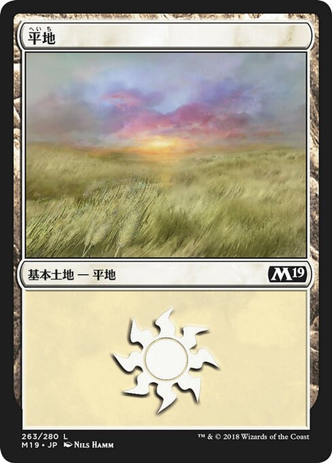 平地（M19 263・フォイル・日本語）