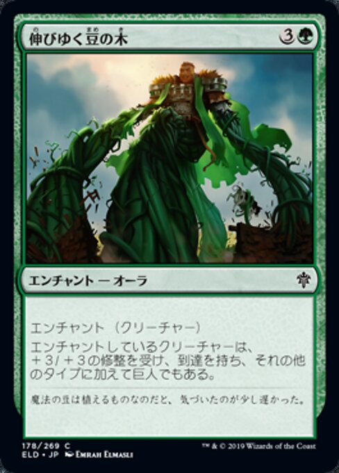 伸びゆく豆の木（ELD 178・通常・日本語）