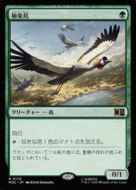 極楽鳥（MSC 170・通常・日本語）