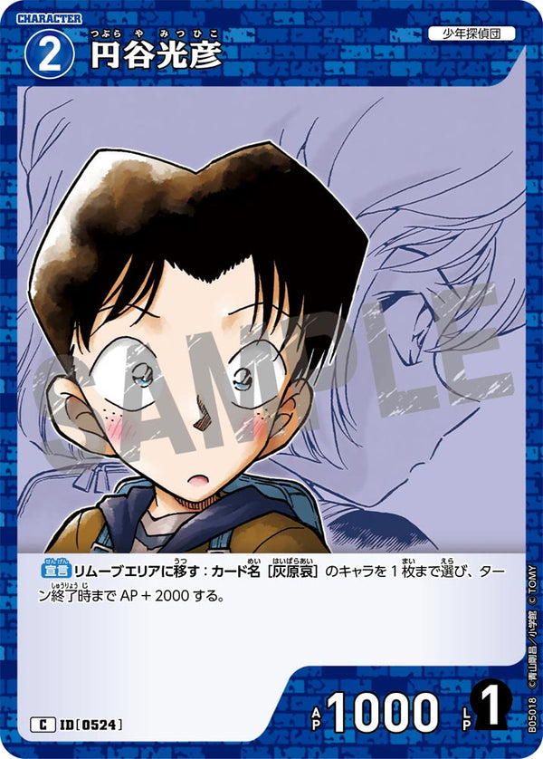 円谷光彦（B05018）［C］
