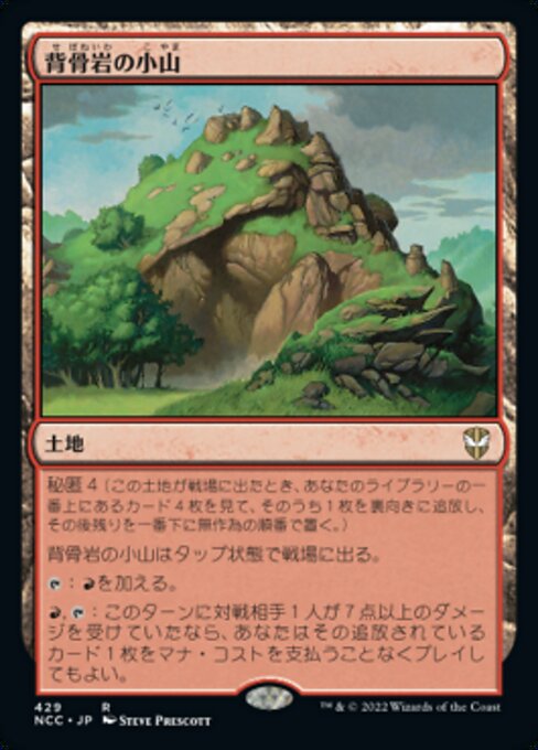 背骨岩の小山（NCC 429・通常・日本語）