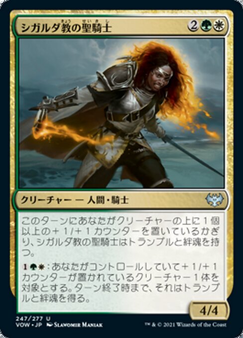 シガルダ教の聖騎士（VOW 247・フォイル・日本語）