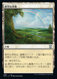 鮮烈な草地（NCC 446・通常・日本語）