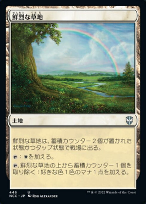鮮烈な草地（NCC 446・通常・日本語）