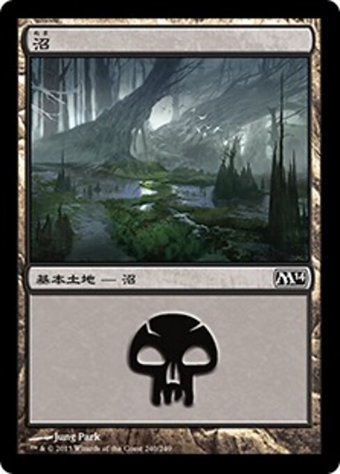 沼（M14 240・フォイル・日本語）