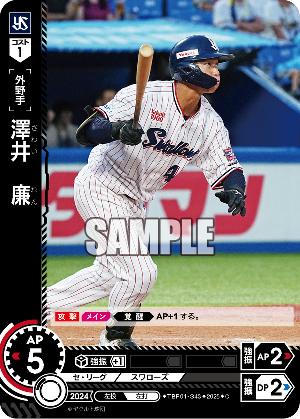 澤井 廉 TBP01-S43 C [TBP01S/standard]