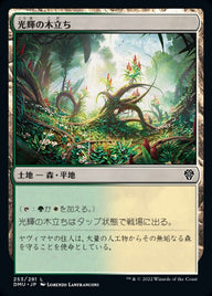 光輝の木立ち（DMU 253・フォイル・日本語）