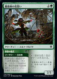 Rosethorn Acolyte // Seasonal Ritual（ELD 174・フォイル・日本語）