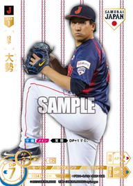 大勢 PB01-SJ12 SJR [PB01/H]