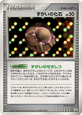 ずがいの化石（NO-NUMBER）［-］