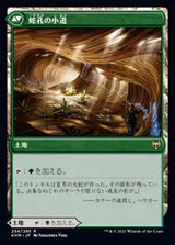 Darkbore Pathway // Slitherbore Pathway（KHM 254・フォイル・日本語）