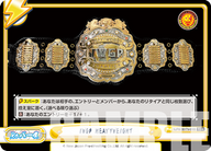 IWGP HEAVYWEIGHT（NJPW/001TV-016S）