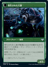 Infestation Expert // Infested Werewolf（VOW 206・フォイル・日本語）