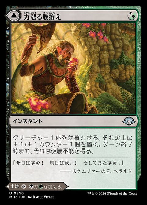 Revitalizing Repast // Old-Growth Grove（MH3 256・通常・日本語）