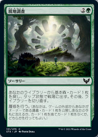 現地調査（STX 131・通常・日本語）