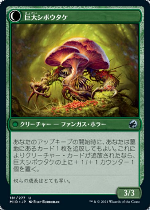 Deathbonnet Sprout // Deathbonnet Hulk（MID 181・フォイル・日本語）