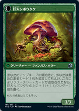 Deathbonnet Sprout // Deathbonnet Hulk（MID 181・フォイル・日本語）