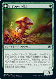Deathbonnet Sprout // Deathbonnet Hulk（MID 181・通常・日本語）