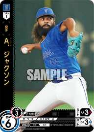 Ａ．ジャクソン TBP01-DB24 OR [TBP01DB/standard]
